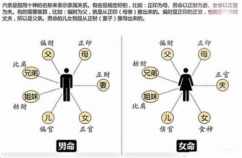 十神 意思|命理八字中，“十神”的本质与运用